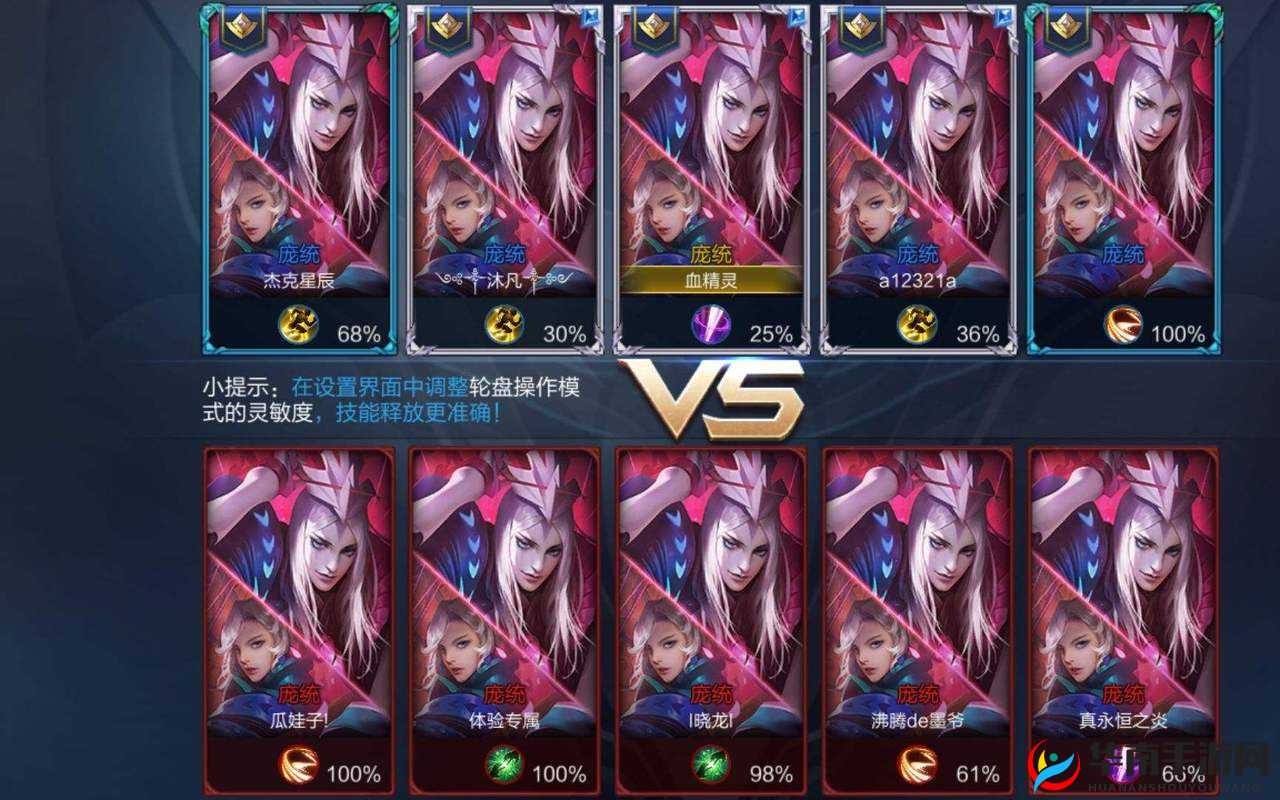 王者荣耀双面刺客庞统出装解析视频欣赏，资源管理视角下的深度剖析