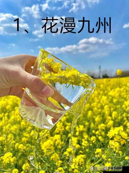 女人与 zσo：探寻其独特魅力与意义