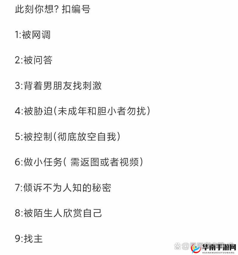 女 M 网调小狗任务表：详细记录与小狗相关的任务安排