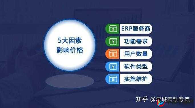 ERP 系统多少钱一套：影响价格的因素全解析