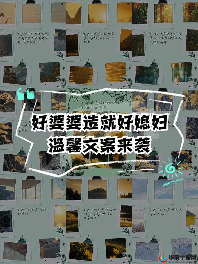 诚实好媳妇：用真心书写家庭美满与温馨的传奇