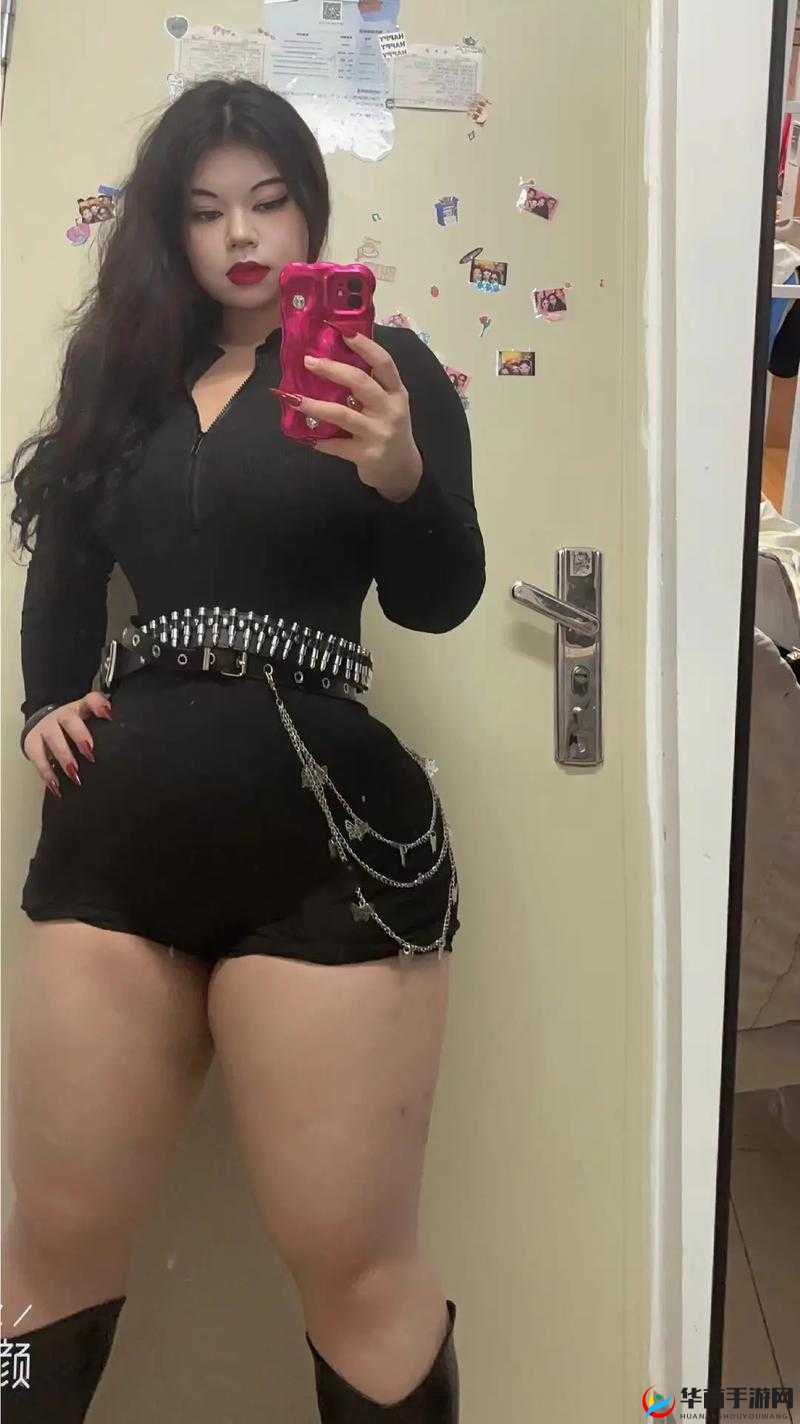 欧美 BBWBBW 之独特魅力探索与发现