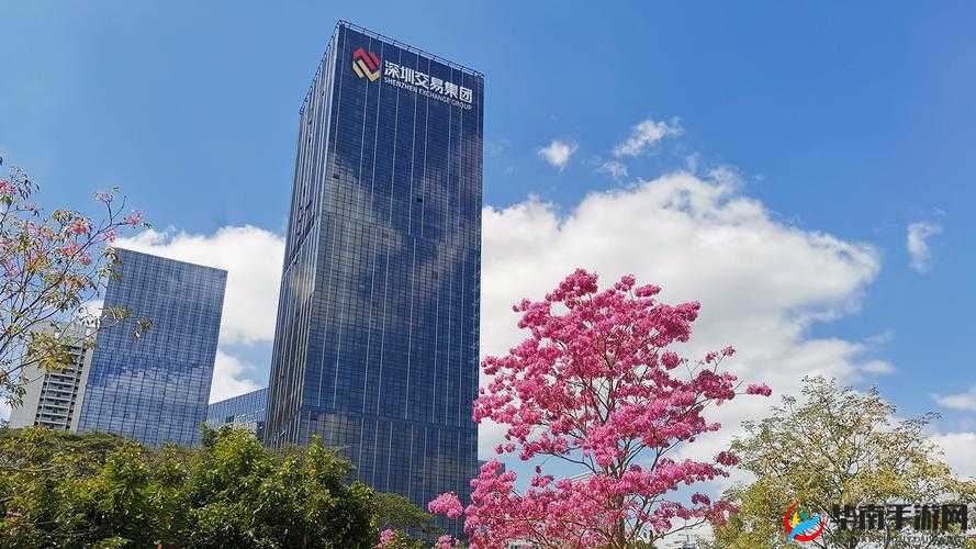 深圳市公共资源交易中心：提供全面交易服务，促进经济高质量发展