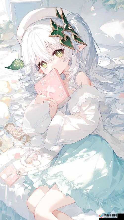 旅行者后入纳西坦的奇妙冒险之旅