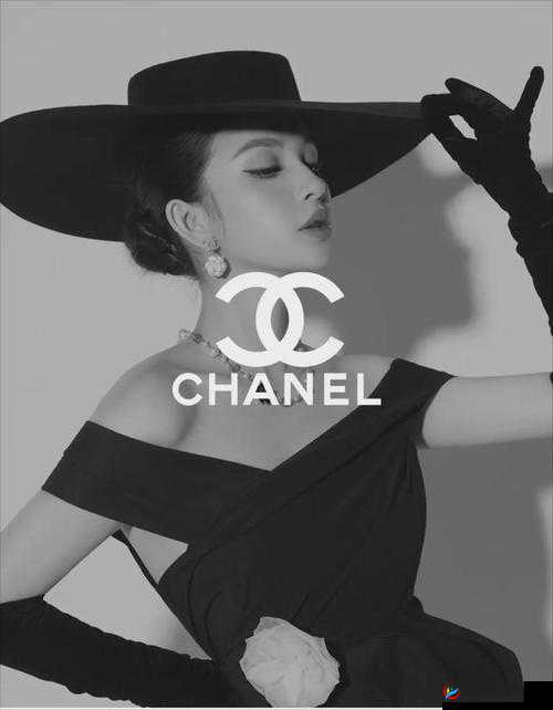 www.chanel.cn ：探索香奈儿时尚魅力的官方网站