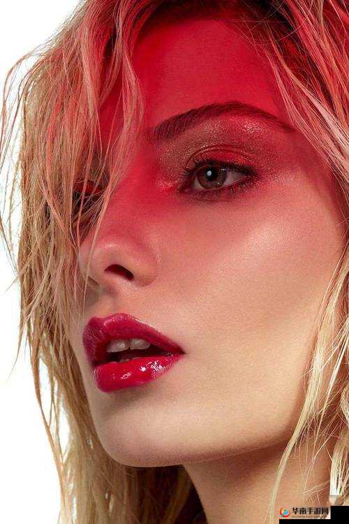 99 国产精品爽爽久久久久久天天影视：给你极致视觉享受