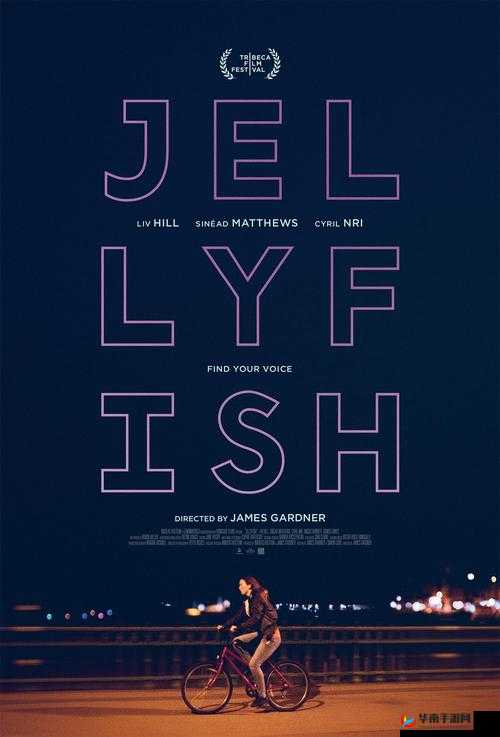 ：bbw 与 wb 和老妇女的那些事：探寻多元化的性观念与文化