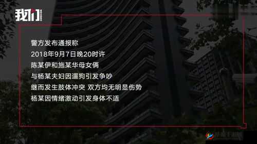 四川孕妇被多人搡搡，究竟发生了什么？