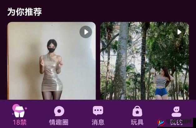 18 禁 成人黄网站免费视频 app：满足你私密需求的成人娱乐神器