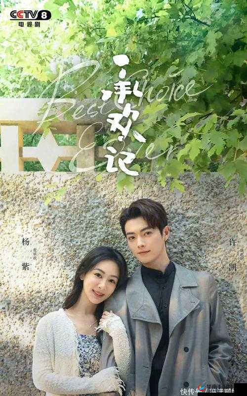 最好看的中文字幕国语电视剧之精彩剧情不容错过