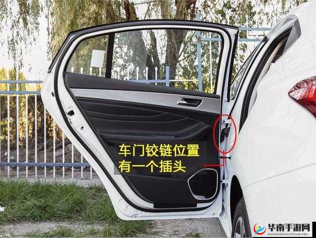 Evenlyn 双后门和双后门的区别：深入探究其不同之处