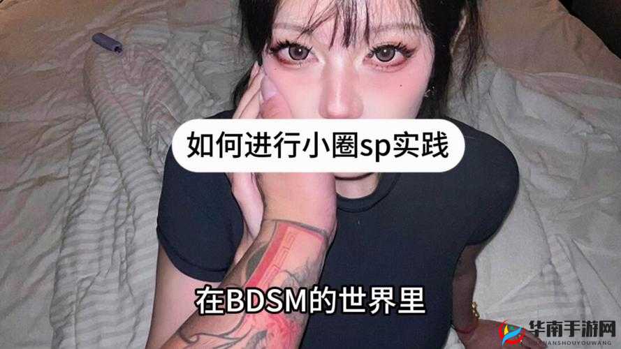 另类罕见稀奇 bdsm:探索未知的性癖好世界