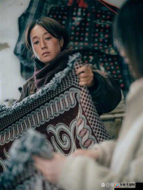 三人成全免费观看电视剧大全：呈现精彩影视世界