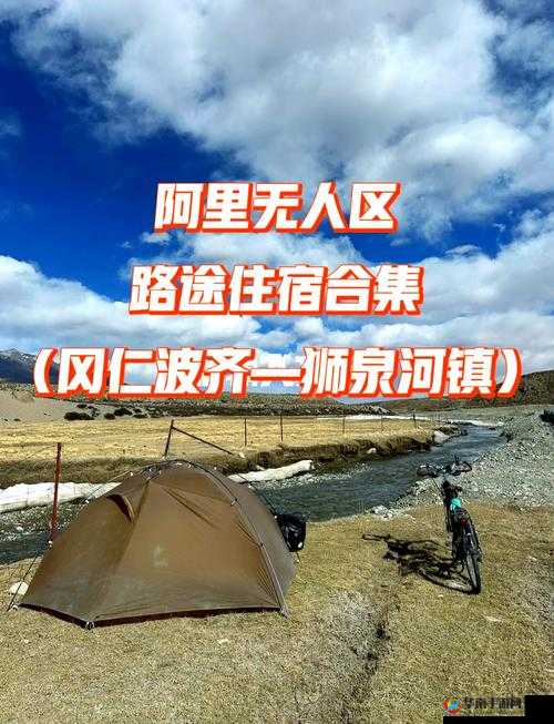 无人区一码二码三码毛多：探索神秘地带的必备指南