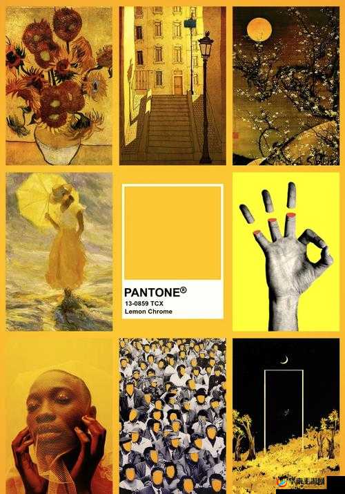 中国一级黄色在艺术领域的独特呈现与探索