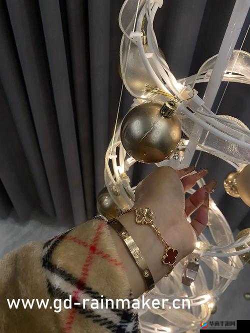 中国体育生 Gary 飞机：揭秘背后的故事