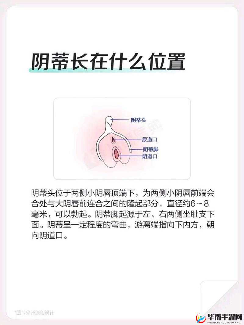 大荫蒂：性魅力的象征，你了解多少？