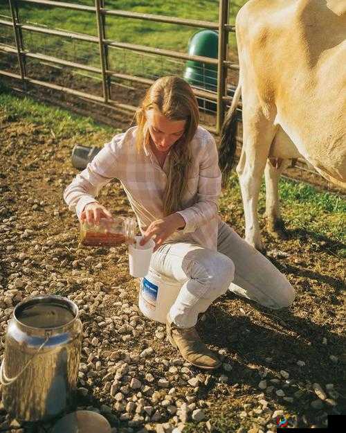 欧美人与牲禽发生性行为后果严重需警惕