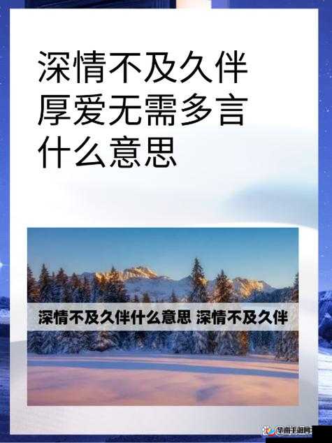 宝贝看清楚我是如何用行动诠释深深爱意的
