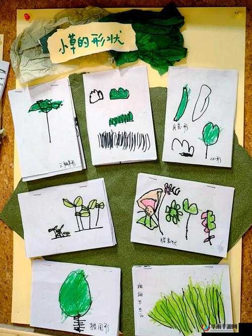 耕种姨妈肥沃的土地目录：探索生命与自然的奥秘