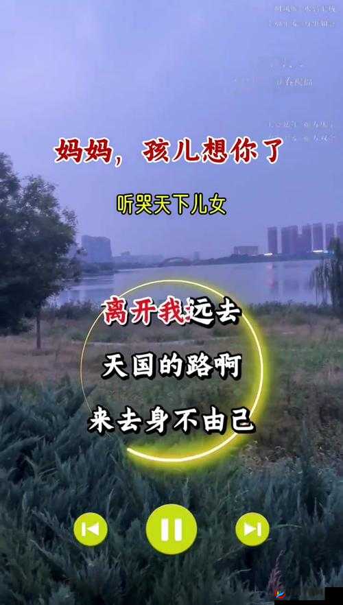 高清 mv 妈妈我想你看完泪：感人至深的亲情之歌令人动容
