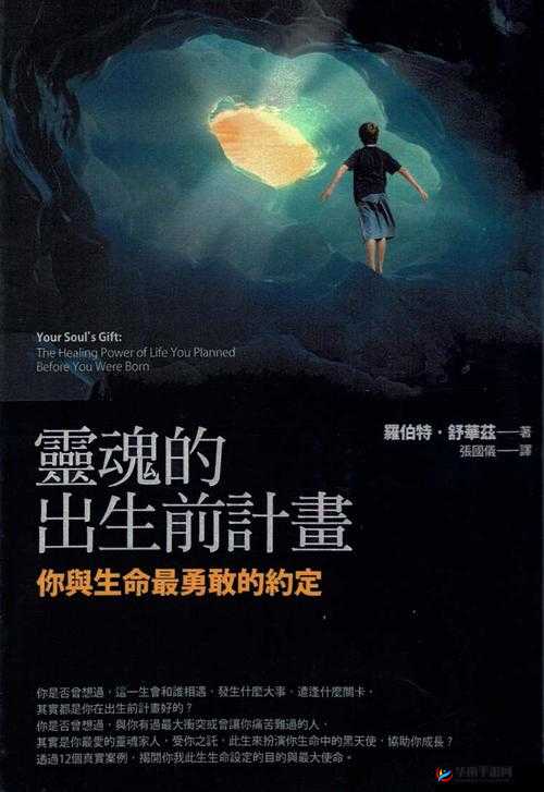 灵魂重塑，在最终幻想，觉醒中的策略与感悟