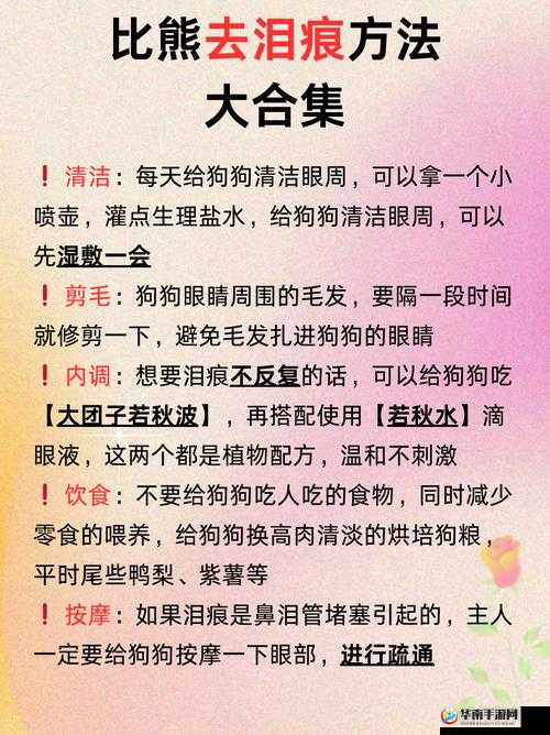 字母圈给狗狗骂湿的另类探索及相关细节解读