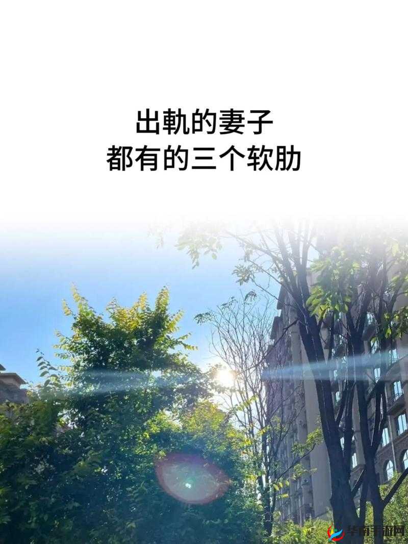 不能让丈夫知道中字：妻子的秘密计划