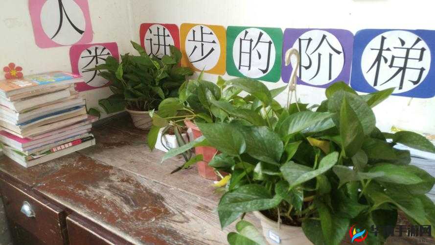 高中班级：宠物移动公厕的绿色选择