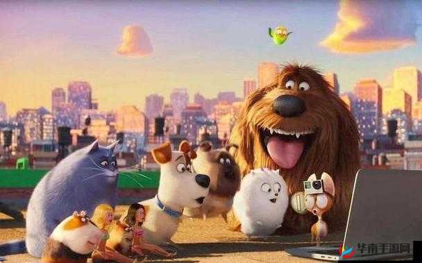 萌宠大爆炸，探索全新互动乐趣的奇妙之旅