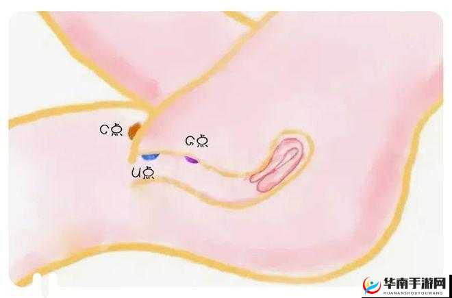 ：--跨间硕大挺进啪啪律动：极致体验的私密世界