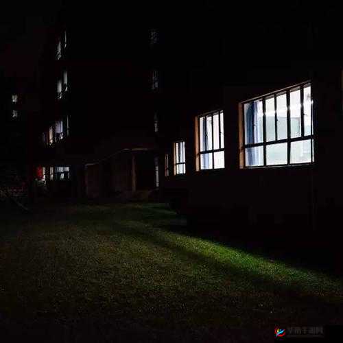 激情燃烧的夜晚：探索性饥渴的神秘世界