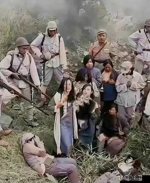 揭秘：日本女性被丈夫施暴的背后真相