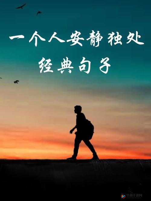 适合一个人看流水的书：于静谧时光中品味流水的诗意