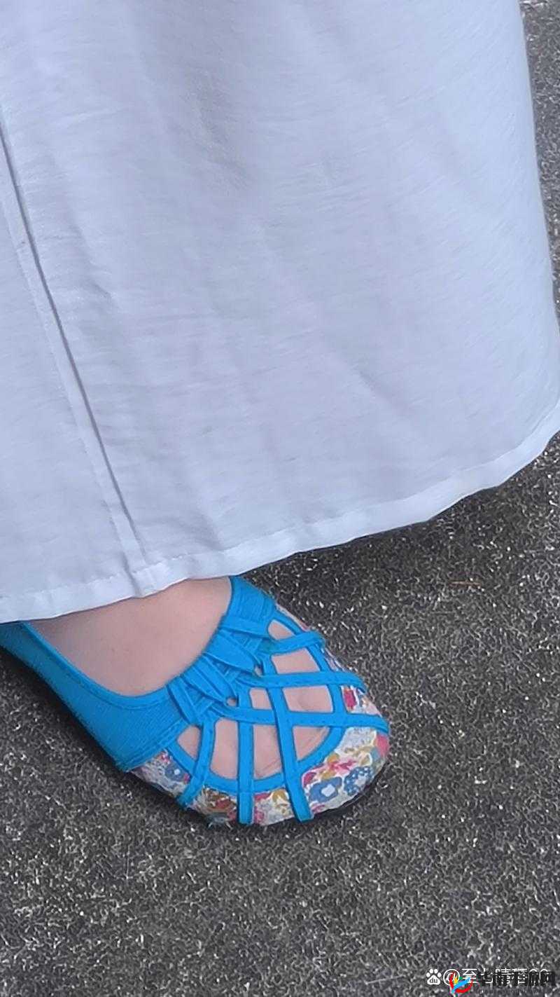 四川 BBB 搡 BBB 视频：独特体验令人爽爽不停