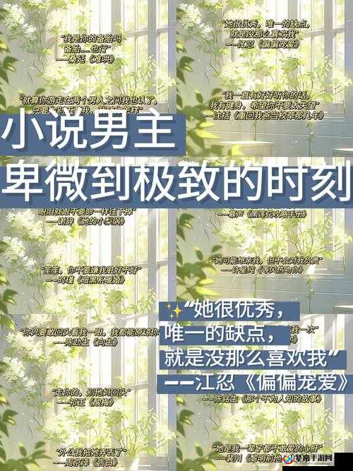 富豪们的玩物：NP 全肉小说之极致狂欢