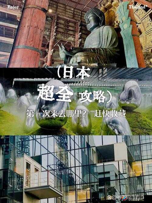 五十六十咯日本亲近相尾的独特魅力与启示