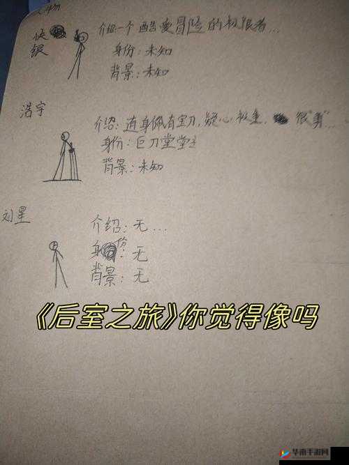 毛茸茸妇女体内汇编：探索未知的神秘世界