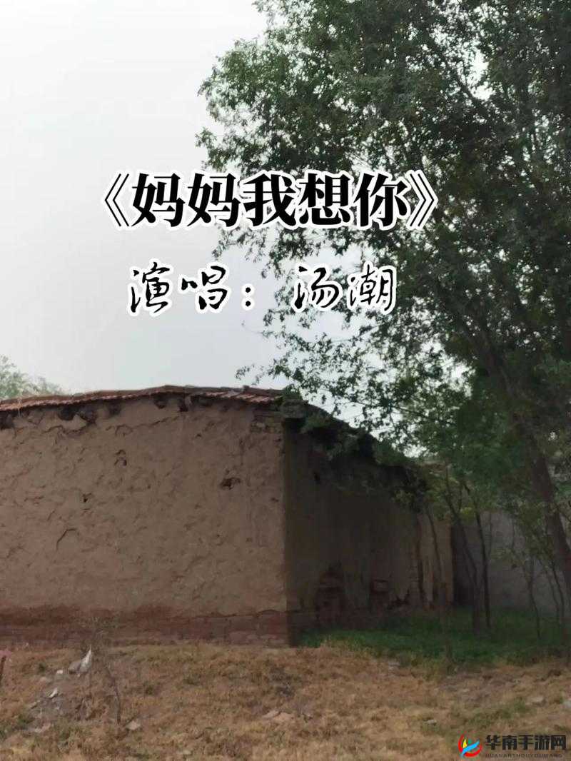 高清mv妈妈我想你看完泪：触动心灵深处的亲情之歌