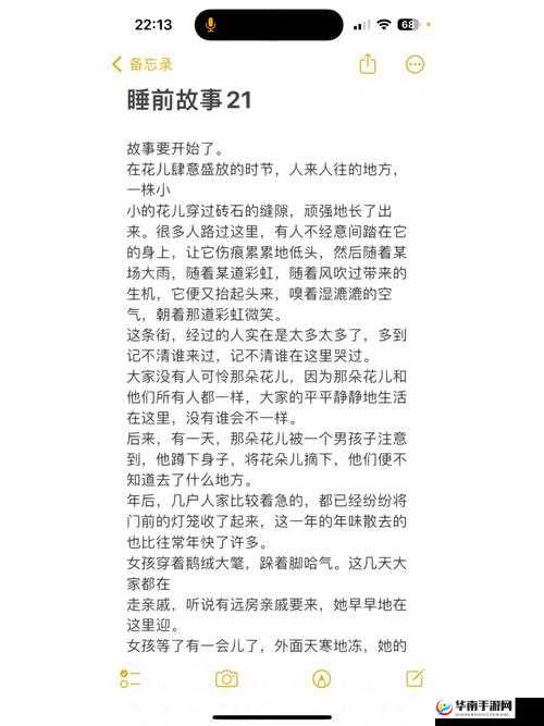 FreeHD19 女的精彩故事与独特魅力展现