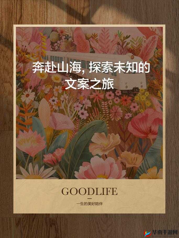 yw193coc:开启独特精彩的未知之旅