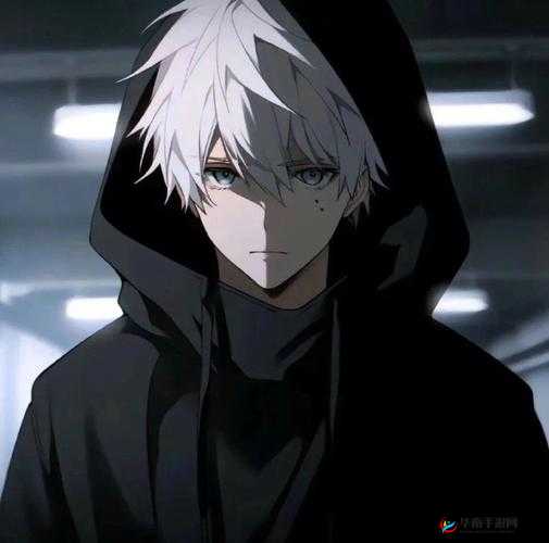 男人把自己的 qq 放在女人的 qq 视频动漫头像：背后的神秘动机与情感纠葛