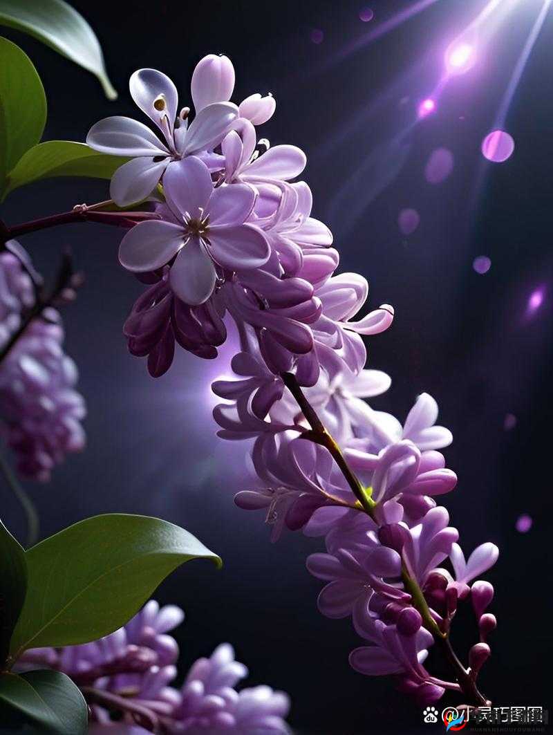 丁香花免费高清视频完整版动漫:一部不容错过的精彩作品