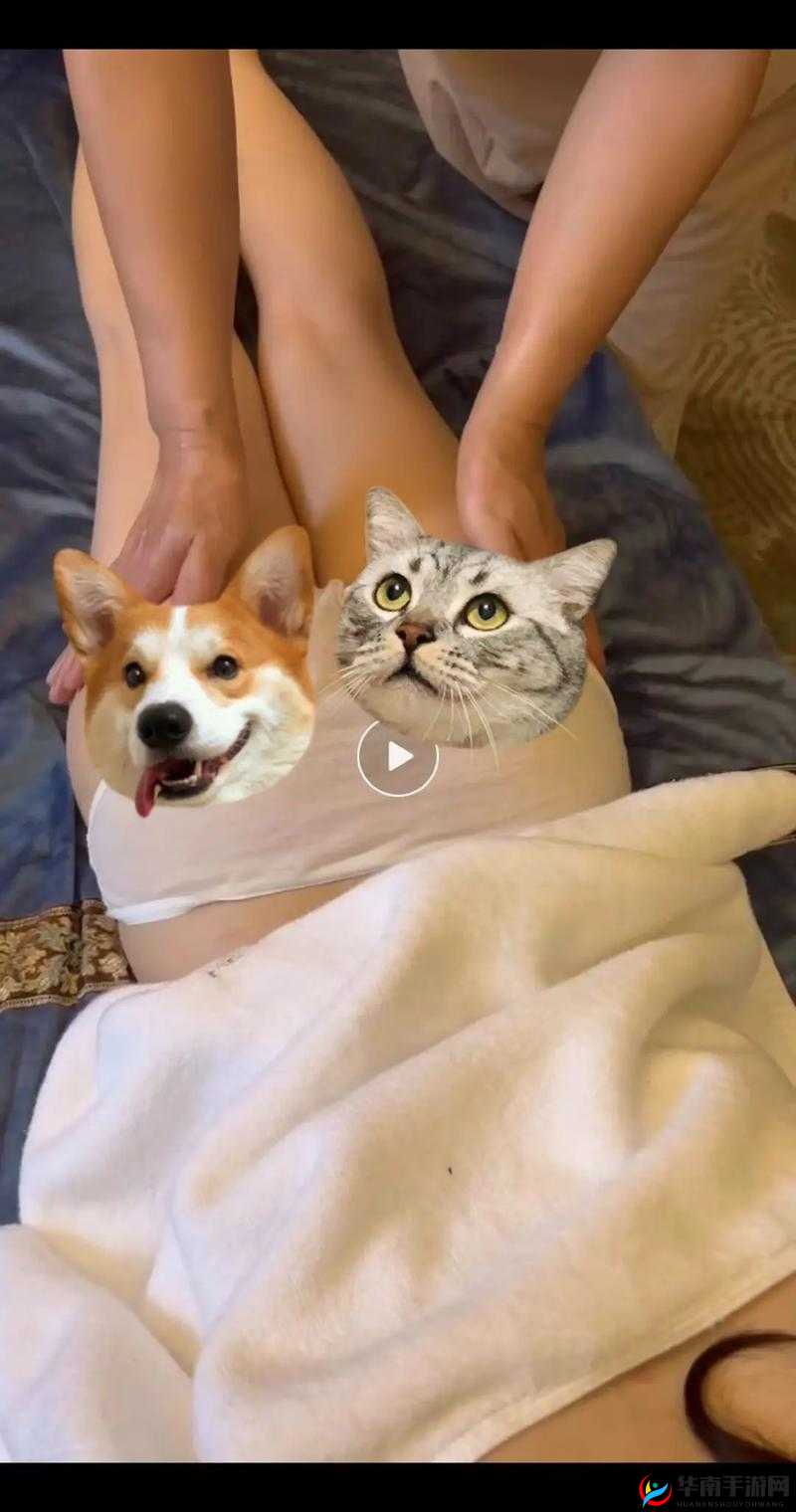 男按摩师舌头伸进去了 SPA 这一离奇事件引发热议