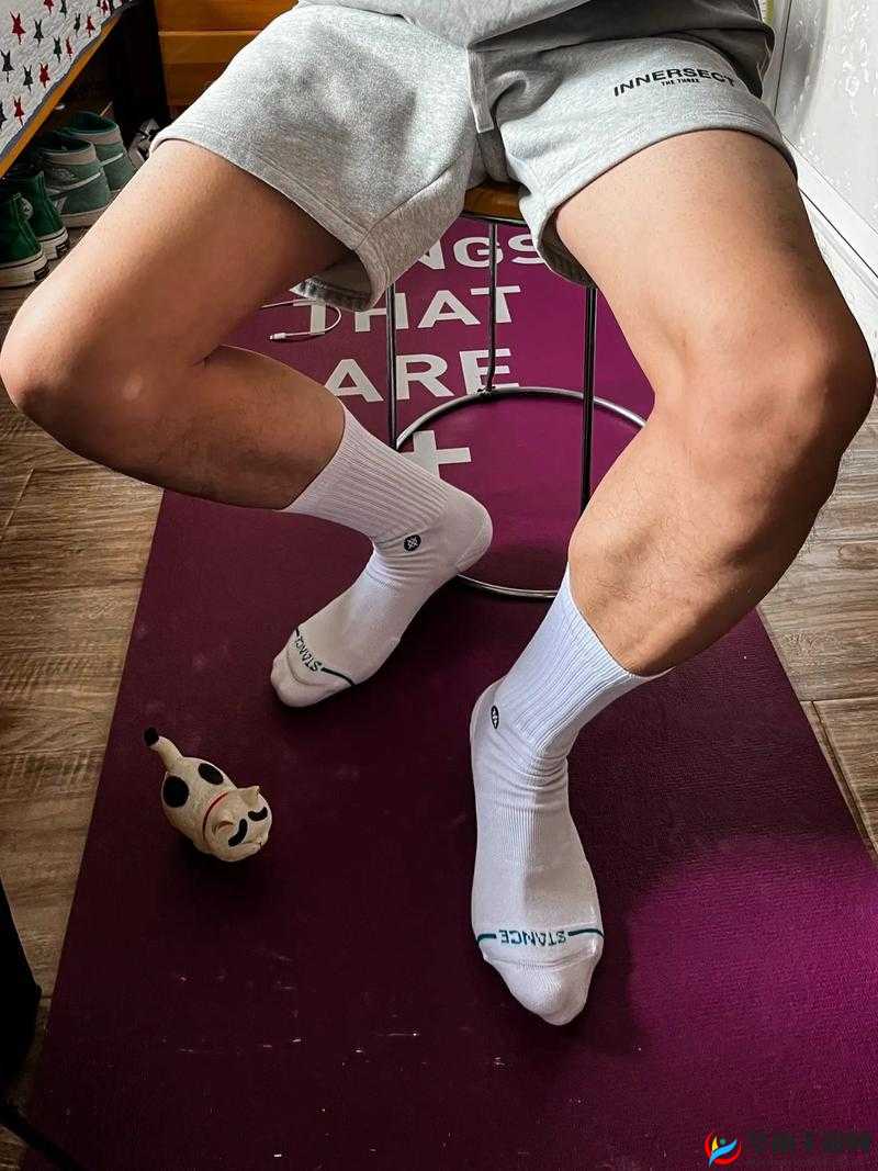 国产男男 Gay 体育生白袜的热血青春故事