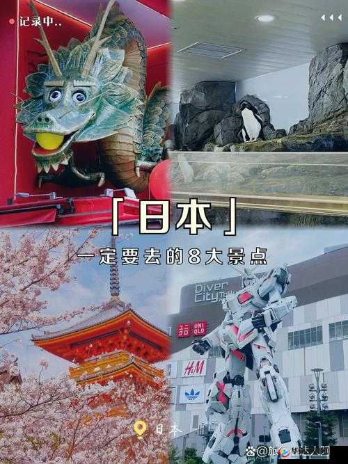 9ab2 尺寸日本:探索其独特规格背后的神秘魅力