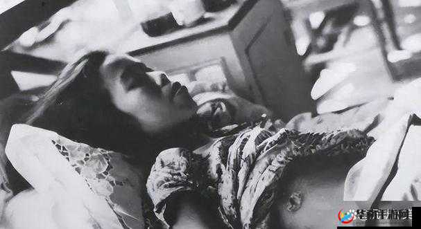 摧残蹂躏挣扎哀嚎惨叫：残酷命运下的无尽痛苦与绝望