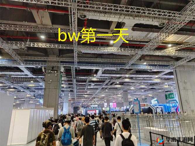另类 BwBWBwBWBW 视频之精彩内容呈现与深度剖析
