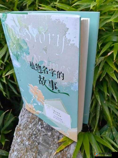 亲近相轩韩亲近相尾：探索其背后深刻的内涵与意义