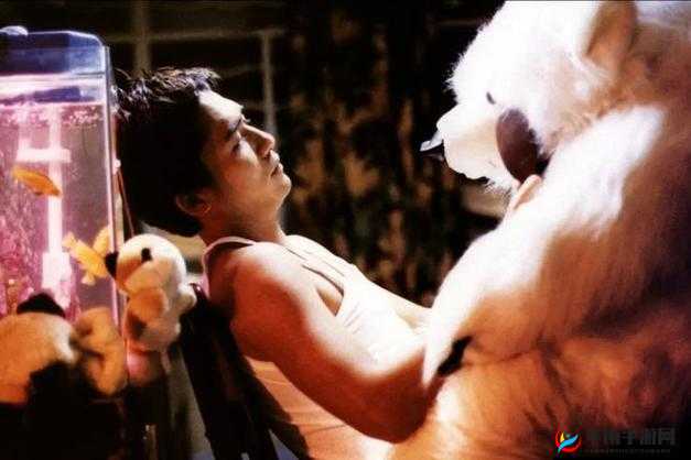 亚洲同志激情 18-19 年：探索男男之爱与性的边界